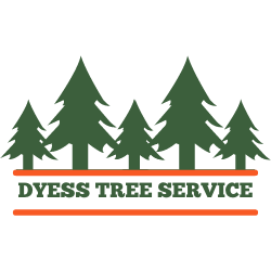 Tree Service in Ozark, Alabama | Dyess Tree Service