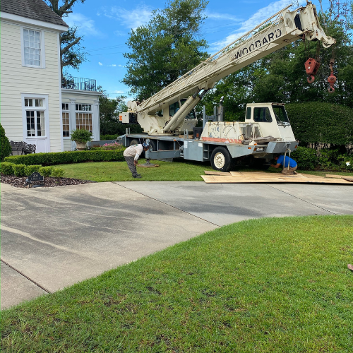 Large crane ready to help arborist cut down tree