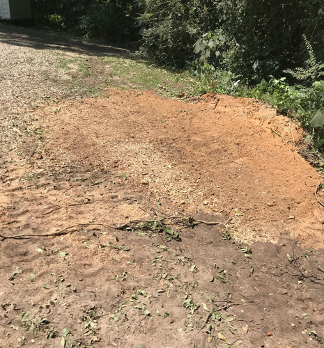 Stump removed and mulched